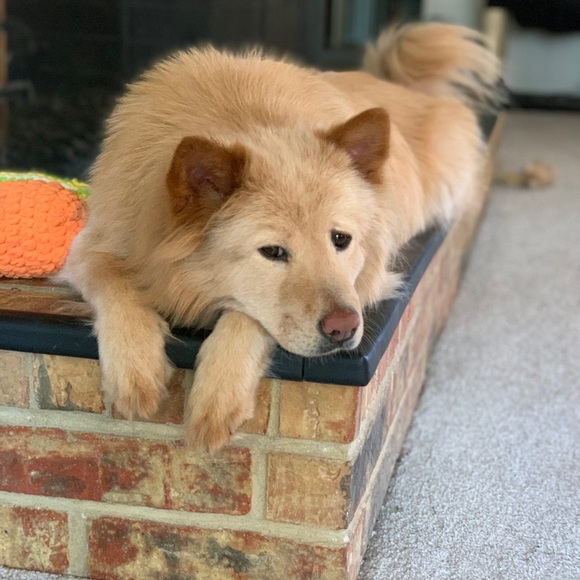 Meet your Posher, Emily - Picture 13 of 16